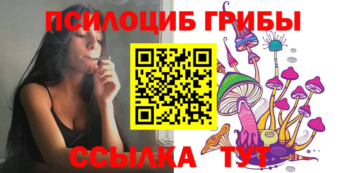 Раменское  Галлюциногенные грибы Psilocybine cubensis  Вход с VPN 