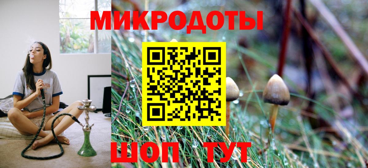 Псилоцибиновые грибы прущие грибы Раменское